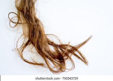 Image Of Damaged Hair