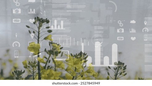 Image of data processing and diagrams over flower field. Global business and ecology concept, digitally generated image.