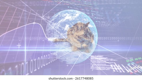 Image of data processing and globe over white background and cat. animals and digital interface concept digitally generated image.