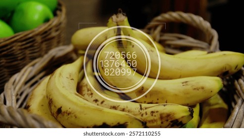 Image of data processing on circle over basket with bananas. Shopping, ecology and digital interface concept digitally generated image.