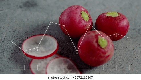 Image of data processing on diagrams over cut radish. Shopping, ecology and digital interface concept digitally generated image.