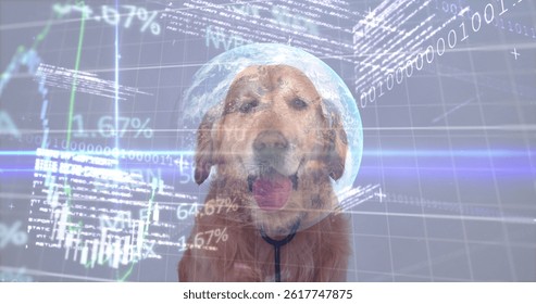 Image of data processing over globe and dog. animals and digital interface concept digitally generated image.