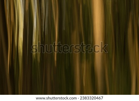 Similar – Image, Stock Photo deliberate camera movement