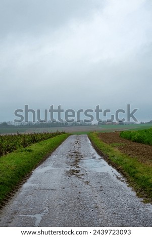 The image depicts a desolate country road stretching into the distance on a rainy day. The gray sky hangs heavy with clouds, casting a somber mood over the scene. Puddles of water accumulated on the