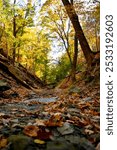 The image depicts a dried-up creek in Peoria, Illinois during the fall season. 