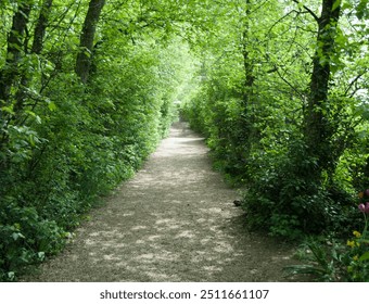 The image depicts a serene nature scene with a narrow dirt pathway flanked by lush green hedges or shrubs on both sides. The pathway curves slightly out of view, adding an element of mystery - Powered by Shutterstock