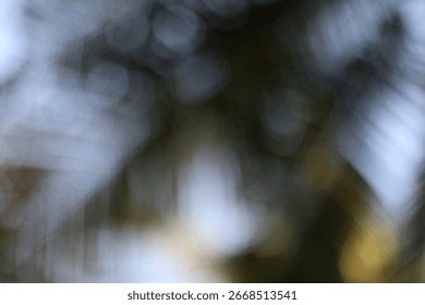 The image depicts a soft blurred background where light and shadow interplay creating bokeh formations that are circular and amorphous in design.