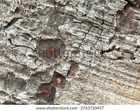The image depicts the surface of tree bark, with intricate layers and textures of brown, gray, and black colors.