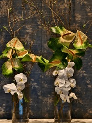 The Image Depicts Two Vases Filled With White Orchids, Surrounded By Various Greenery Such As Leaves And Stems. The Background Is A Rustic Wooden Wall, Which Gives The Scene A Natural And Earthy Feel.