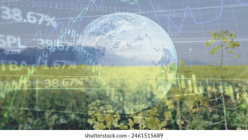 Image of diagrams and data processing with globe over field. Global business, nature and digital interface concept, digitally generated image.