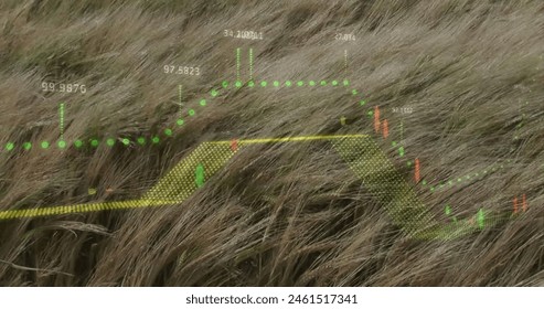 Image of diagrams and data processing over grass waving. Global business, nature and digital interface concept, digitally generated image.