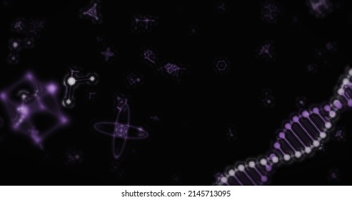 Image Of Digital 3d Purple And White Double Helix DNA Strand Spinning And Molecules Atoms Moving On Black Background. Medicine Science Genetics Concept Digitally Generated Image. 4k