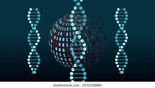 Image of digital data processing over dna strands spinning and globe with binary coding. Global connections, computing and data processing concept digitally generated image.