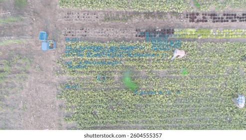 Image of digital icons and data processing over field. global digital interface, data processing and technology concept digitally generated image.