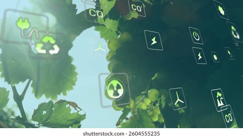 Image of digital icons over grapes. global digital interface, data processing and technology concept digitally generated image.