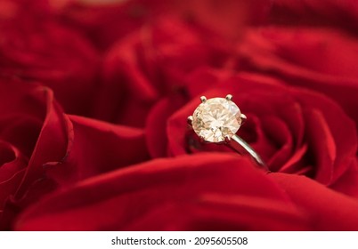 Image Of A Dimond Engagement Ring On Background Of Roses. Romantic Image And Loving Proposition 