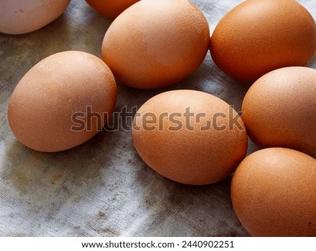 The image displays eight brown eggs scattered on a textured fabric surface, creating a natural and simplistic aesthetic. Foto stock © 