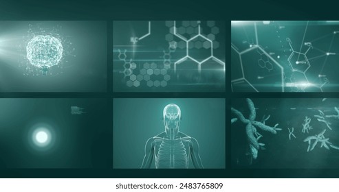 Image of dna helix rotating over digital screens with medical structures. Digitally generated, multiple exposure, healthcare, molecule, anatomy, brain abstract, chemistry and biology concept. - Powered by Shutterstock