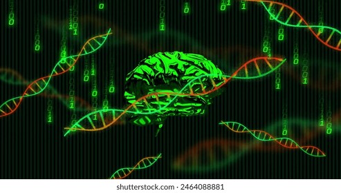 Image of dna helixes, rotating digital human brain, falling binary codes over black background. Digitally generated, hologram, anatomy, molecule, artificial intelligence and technology concept.