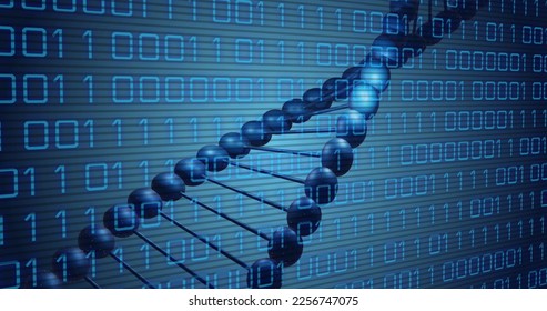 Image of dna rotating over binary code on blue background. Science, biology, data processing and technology concept digitally generated image.