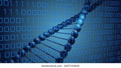 Image of dna rotating over binary code on blue background. Science, biology, data processing and technology concept digitally generated image.