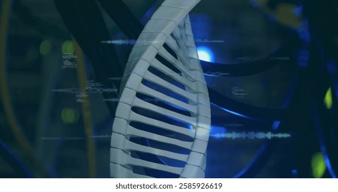 Image of dna strand over data processing and server room. Science, technology and digital interface concept digitally generated image.
