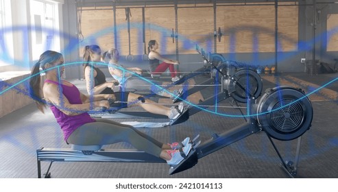 Image of dna strands over diverse women training on rowing machines at gym. Fitness, exercise, strength, data, genetics and technology digitally generated image. - Powered by Shutterstock