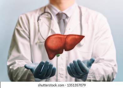 Image Of A Doctor In A White Coat And Liver Above His Hands. Concept Of Healthy Liver And Donation.