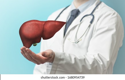 Image of a doctor in a white coat and liver above his hands. Concept of healthy liver and donation.