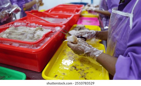 Image documentation of the shrimp peeling process, to become peeled shrimp ready to be cooked