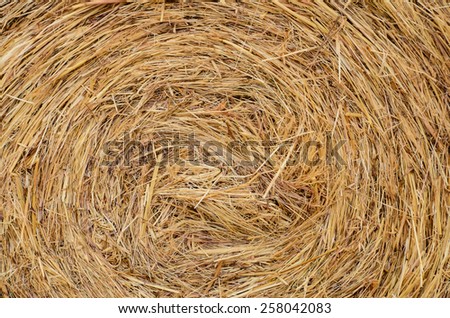 Similar – Image, Stock Photo #S# Straw spiral Nature