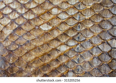 Image Of Dry Arapaima Fish Skin For Background Texture.