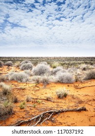 An Image Of The Dry Australian Outback