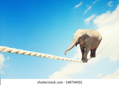 3,271 Elephant balance Images, Stock Photos & Vectors | Shutterstock