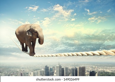 1,203 Elephant on rope Images, Stock Photos & Vectors | Shutterstock