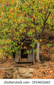 Image Of An Empty Dog Cage Under A Beautiful Autumn Tree.