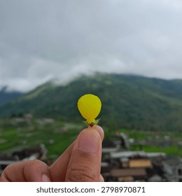 The image features a close-up of a person's hand holding a single, bright yellow flower bud. The bud is small and round, positioned centrally in the foreground. It sits atop a green calyx with tiny, hair-like structures.The background is a scenic landscape, intentionally blurred to create a shallow depth of field. It depicts a lush green valley with traditional-style houses and terraced fields. In the distance, large, verdant mountains rise toward a misty, overcast sky. The overall atmosphere is peaceful and natural, emphasizing the delicate detail of the flower against the vastness of the mountain range
