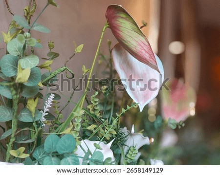 The image features a close-up view of an artificial plant arrangement, with a prominent faux anthurium flower in soft pink and reddish-green tones. The anthurium is positioned slightly off-center.
