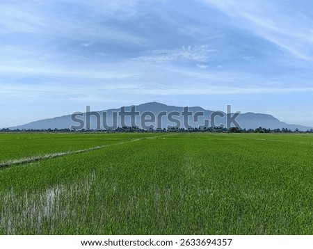 The image features paddy fields and mountain landscape at back. 