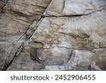 An image featuring a rocky surface with a combination of brown and white colors. The stone appears to be made of stone, and it has a rough texture, adding depth and character to the natural formation.