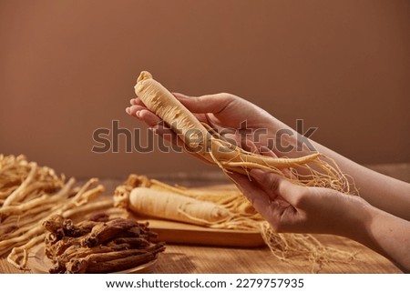Image of female hand holding ginseng root on brown background with other herbs. Ginseng has been used in traditional medicine has effects: strengthens the immune system, improves brain function