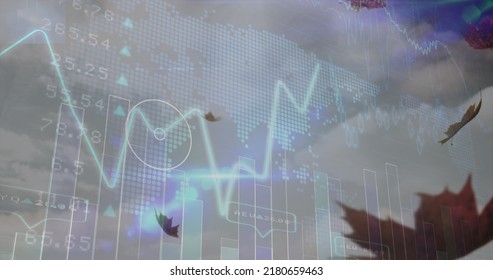 Image of financial data processing over leaves falling and sky. Global business, computing and digital interface concept digitally generated image.