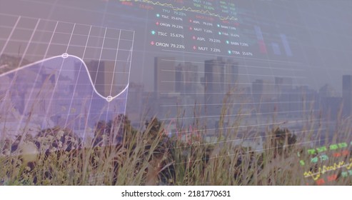 Image of financial graph and data processing over cityscape. Global business, finances, data processing and digital interface concept digitally generated image.