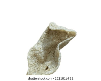 An image of fish snek