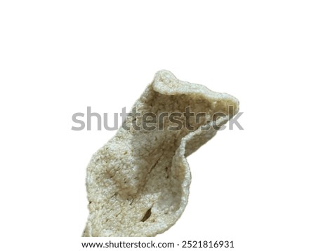 An image of fish snek