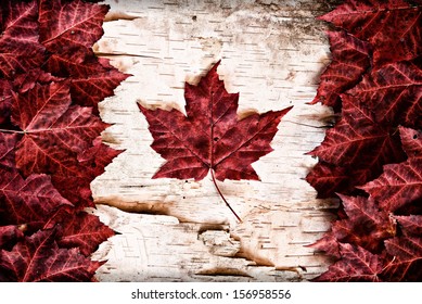 The Image Of The Flag Of Canada Constructed Entirely Out Of Genuine Maple Leaves And White Birch Bark From Species Native To That Country.  