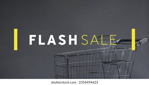 Image of flash sale text over shopping trolley. Sales, retail, cyber shopping, digital interface, communication, computing and data processing concept digitally generated image. - Powered by Shutterstock - Get 15% off with code: PIKWIZARD15