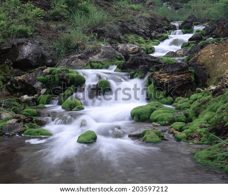 An Image of Flow And Moss