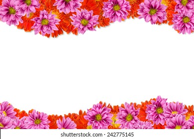 Image Flowers On White Background Stock Photo 242775145 | Shutterstock