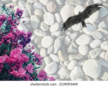 Image of the flowers, stones and bird.
